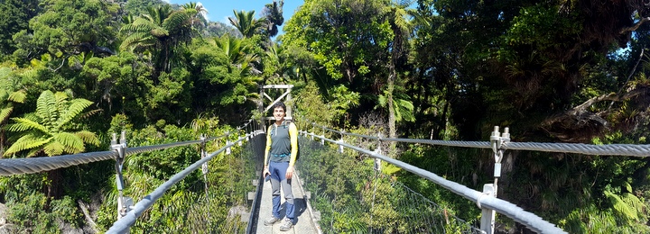 Heaphy track